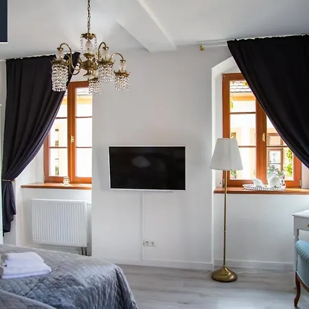فندق Apartone Altstadt-hotel 3*