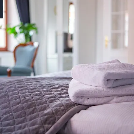 Apartone Altstadt-hotel Hotel