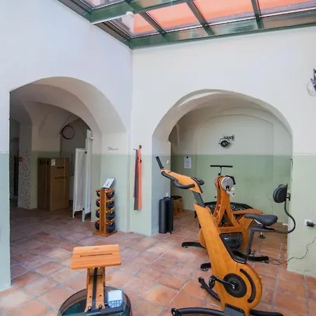 Hotel Apartone Altstadt-hotel