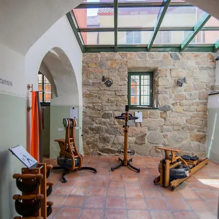 Apartone Altstadt-hotel