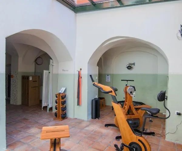 Hotel Apartone Altstadt-hotel